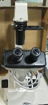 NIKON Model TMS Microscope,